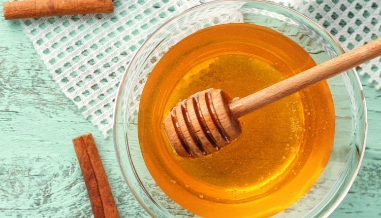  Pure Honey Vs Honey Glen Barton Raleigh NC